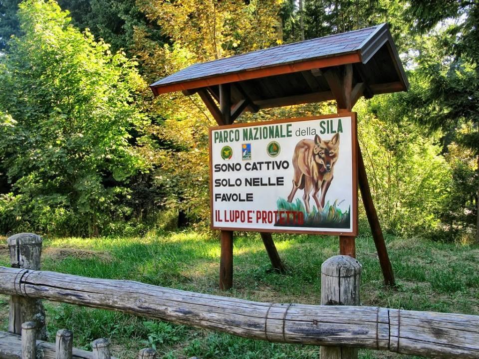 B&B La Rosa Dei Venti Acri Экстерьер фото